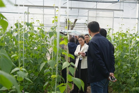 1763020453053051373.jpg 微信图片_2025-11-13_091650_334.jpg